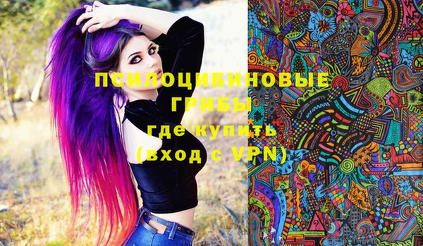 прущие крисы Верея
