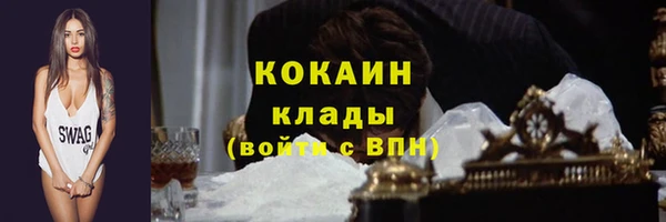 прущие крисы Верея
