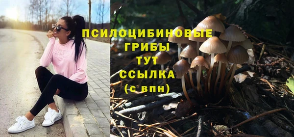 прущие крисы Верея