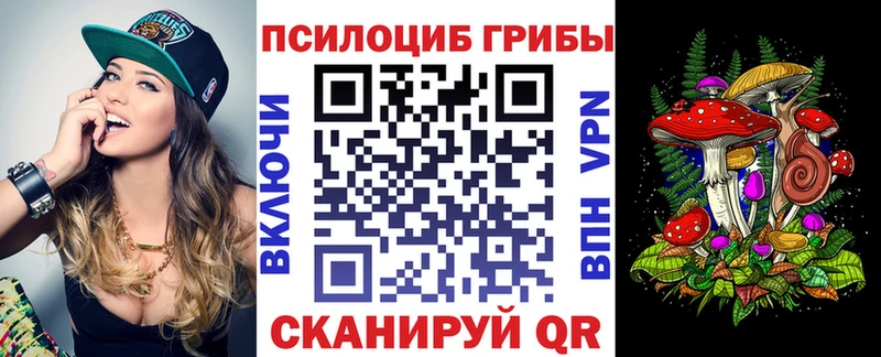 Псилоцибиновые грибы Magic Shrooms закладка Питкяранта